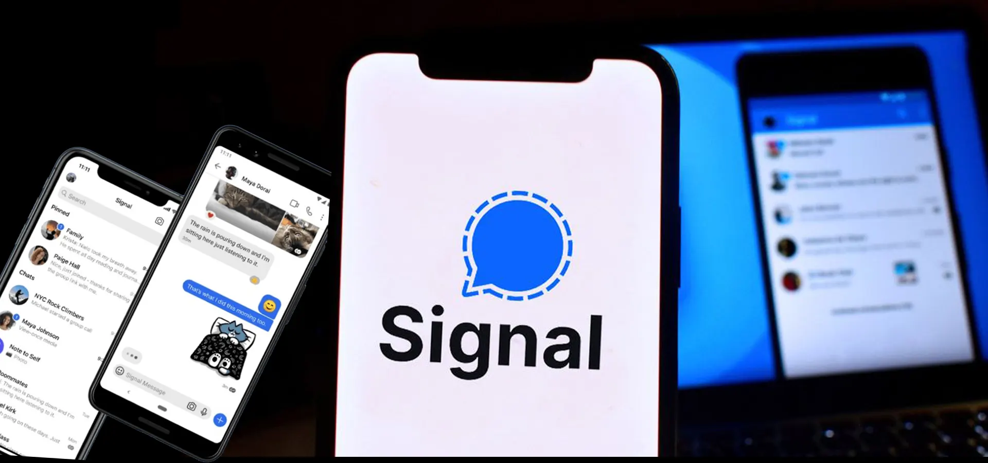 Signal Mobile Number Data Analysis